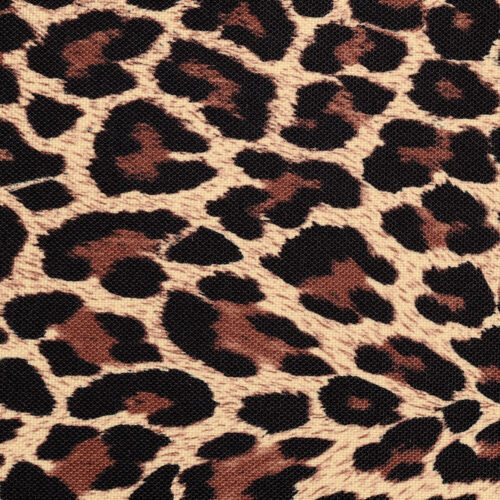 Print - Leopard Print